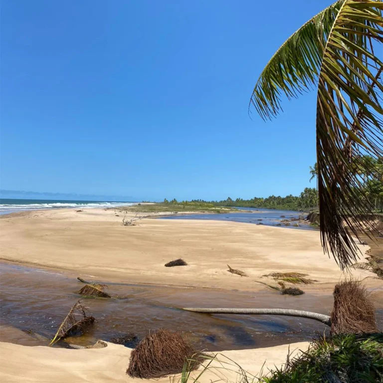Bangalô em Maraú BA Studio Pasddin